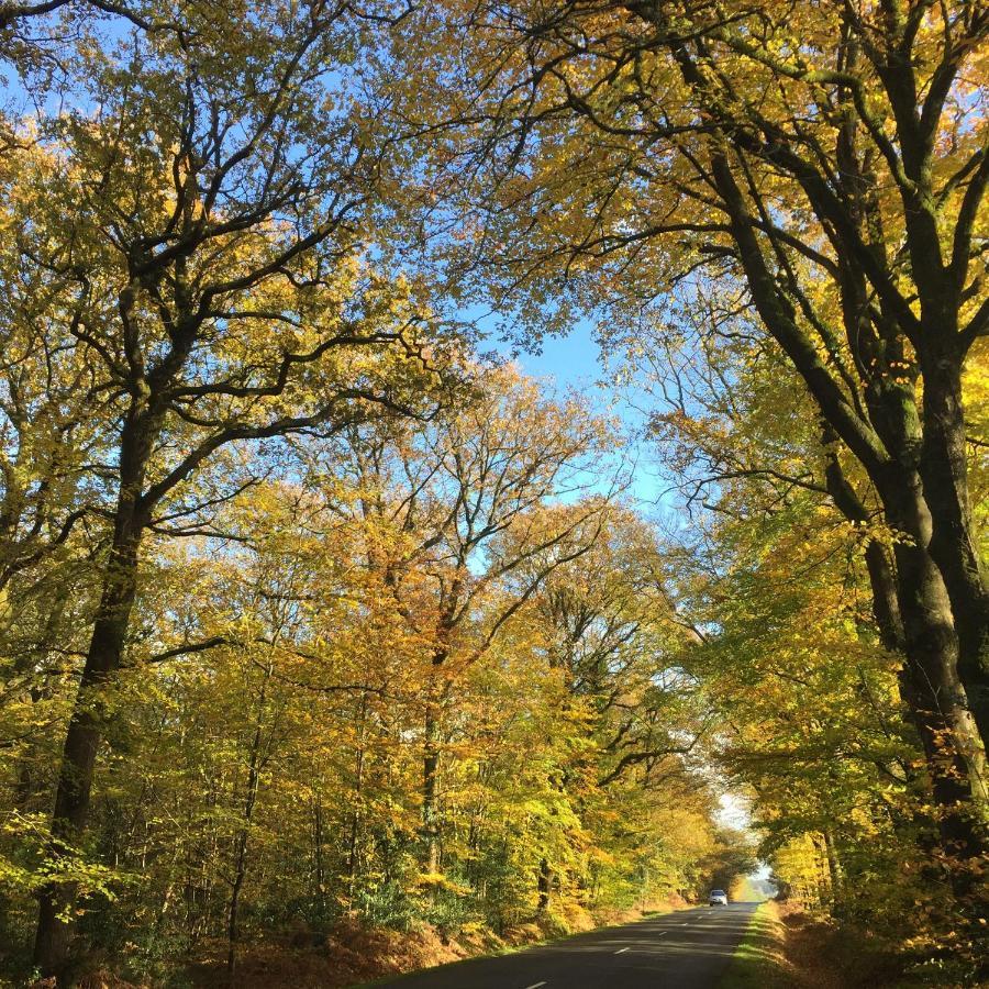 L'Hotie De Broceliande, Au Coeur Des Sites Naturels Et Legendaires Пампон Екстериор снимка