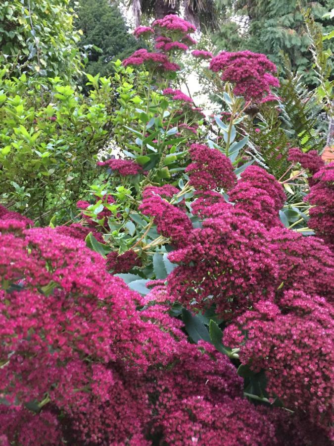 L'Hotie De Broceliande, Au Coeur Des Sites Naturels Et Legendaires Пампон Екстериор снимка