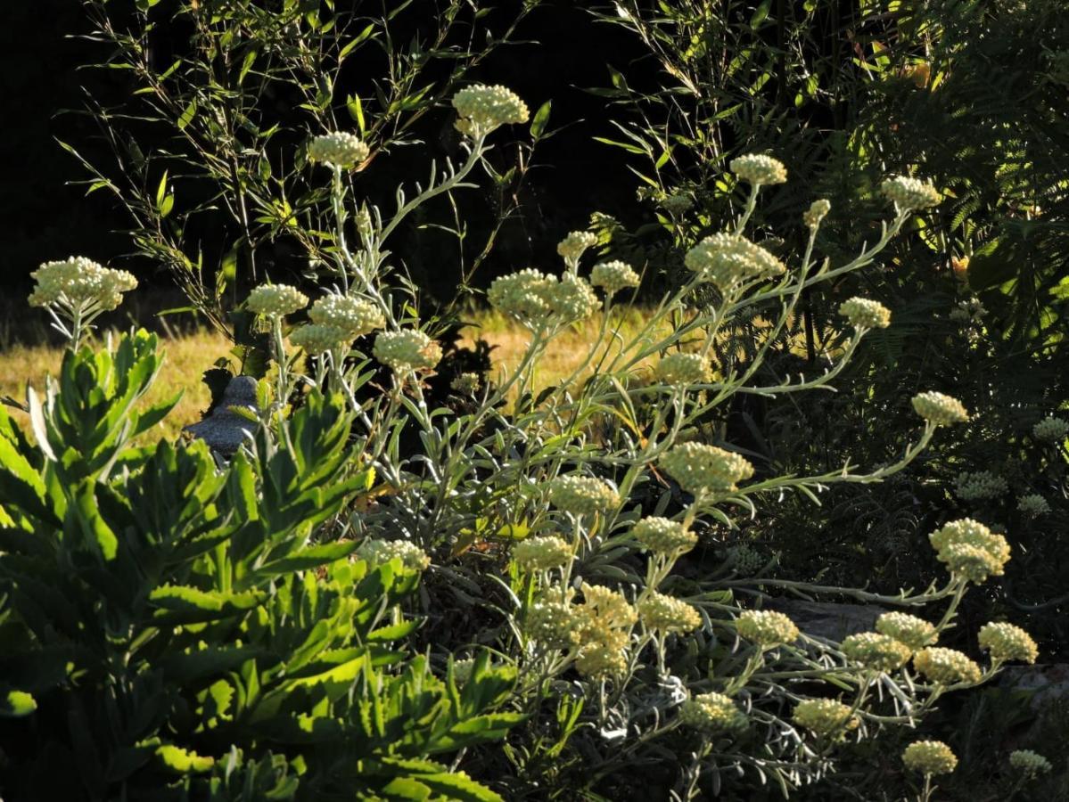 L'Hotie De Broceliande, Au Coeur Des Sites Naturels Et Legendaires Пампон Екстериор снимка