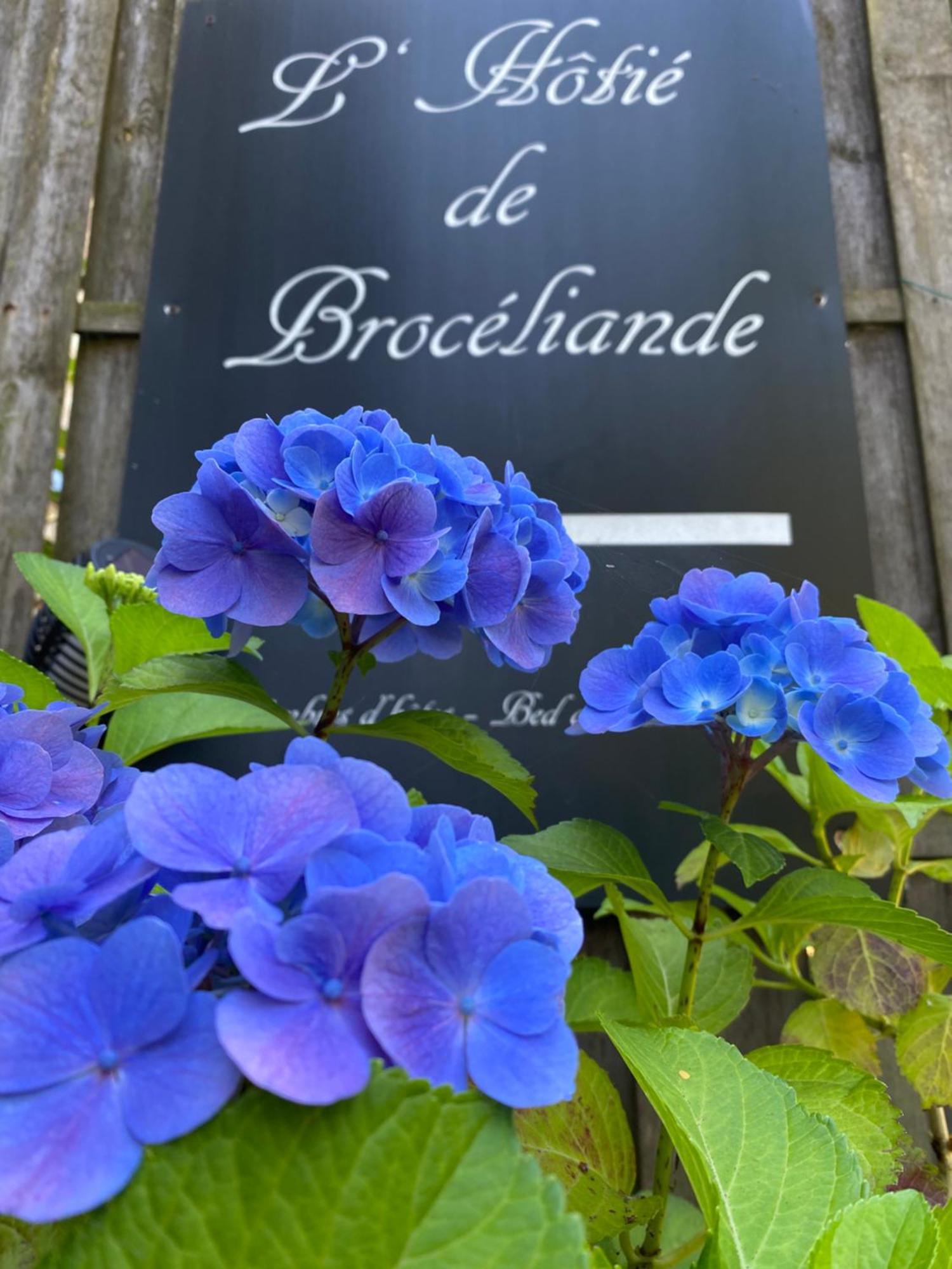 L'Hotie De Broceliande, Au Coeur Des Sites Naturels Et Legendaires Пампон Екстериор снимка