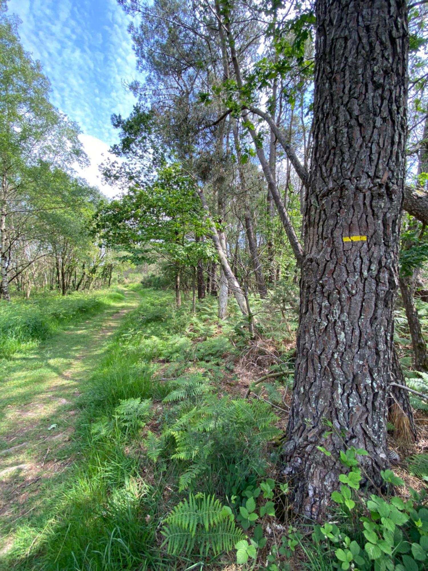 L'Hotie De Broceliande, Au Coeur Des Sites Naturels Et Legendaires Пампон Екстериор снимка